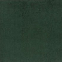 Brightwell Evergreen Velvet Fabric by the Metre